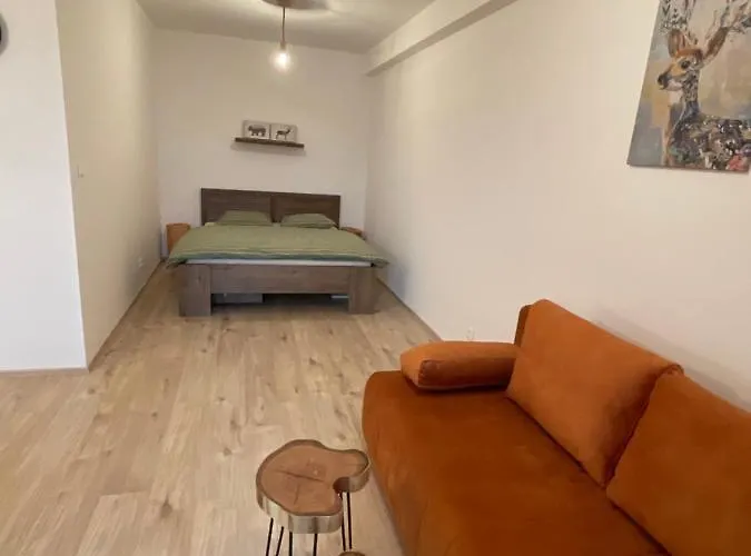 Apartment Utulny Jednopokojovy V Alpskem Stylu Na Klinovci